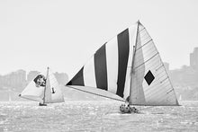 Vintage 18' Skiffs #2, Sydney Harbour
