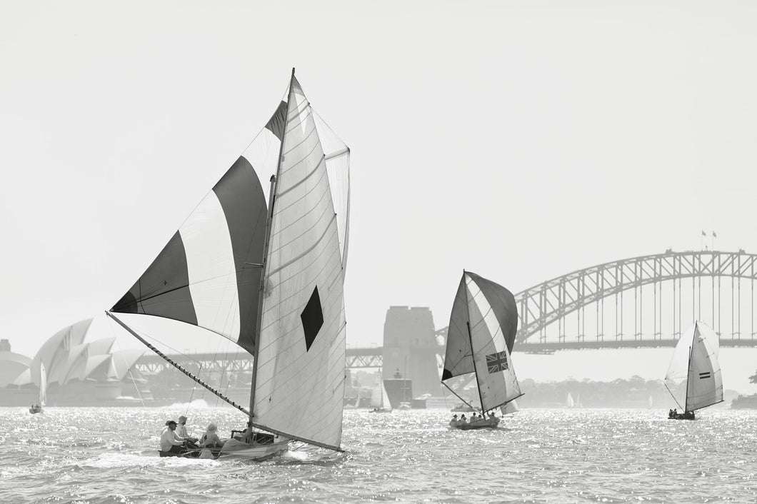 Vintage 18' Skiffs #1, Sydney Harbour