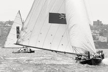Vintage 18' Skiffs #3, Sydney Harbour